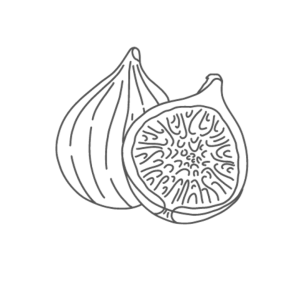 Picture of MTA Curated Editorial Team