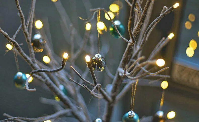 Led Christmas lights