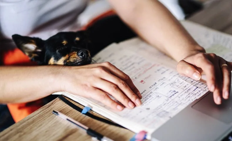 working from home- stay organised