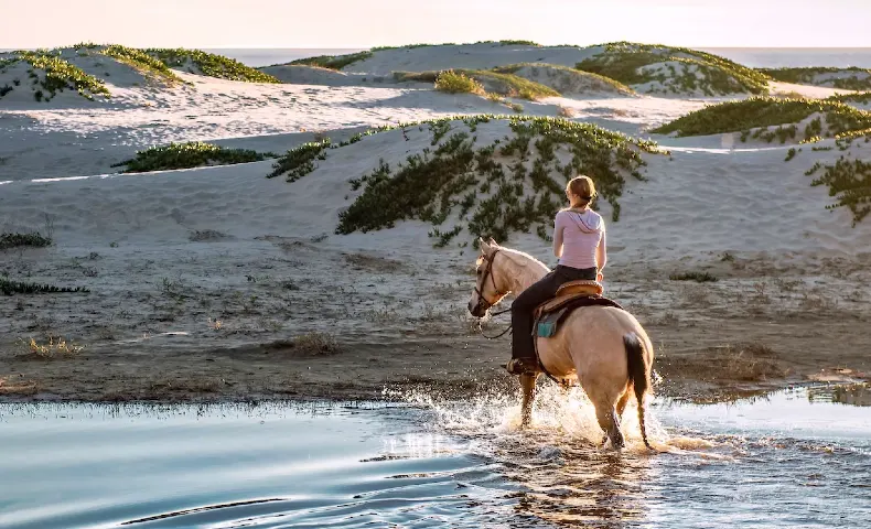 Personalised experiences and trips. Travel trend 2024.