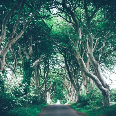 northern ireland retreats - small