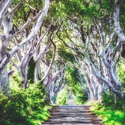 4-Day Meditation & Walking Retreat in Stranocum, Northern Ireland.